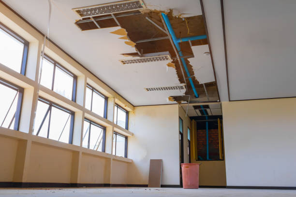 Best Ceiling water damage repair  in Beaverton, MI