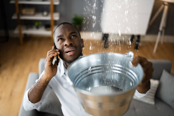 Best Basement water damage restoration  in Beaverton, MI