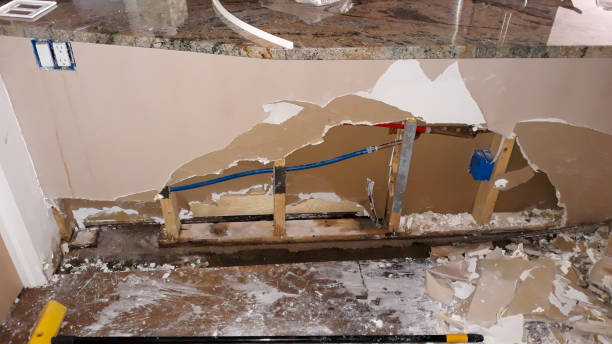 Best 24/7 water damage repair  in Beaverton, MI
