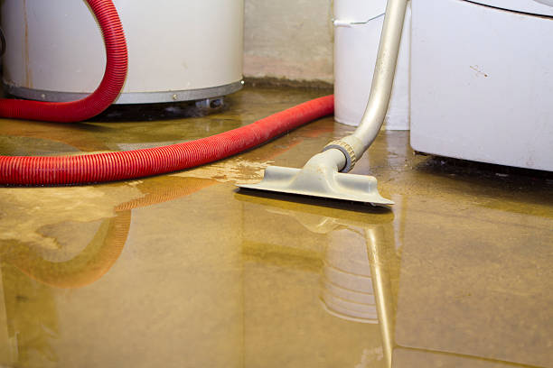 Best Ceiling water damage repair  in Beaverton, MI