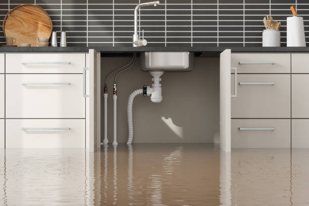 Best 24/7 water damage repair  in Beaverton, MI