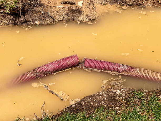Best Sewage cleanup and water damage restoration  in Beaverton, MI