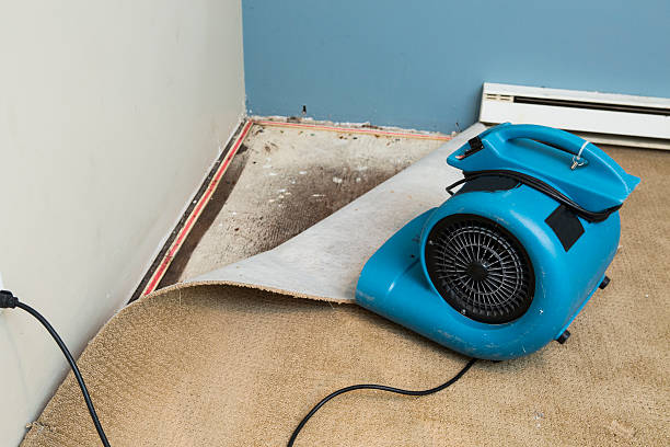 Best Flood damage cleanup  in Beaverton, MI